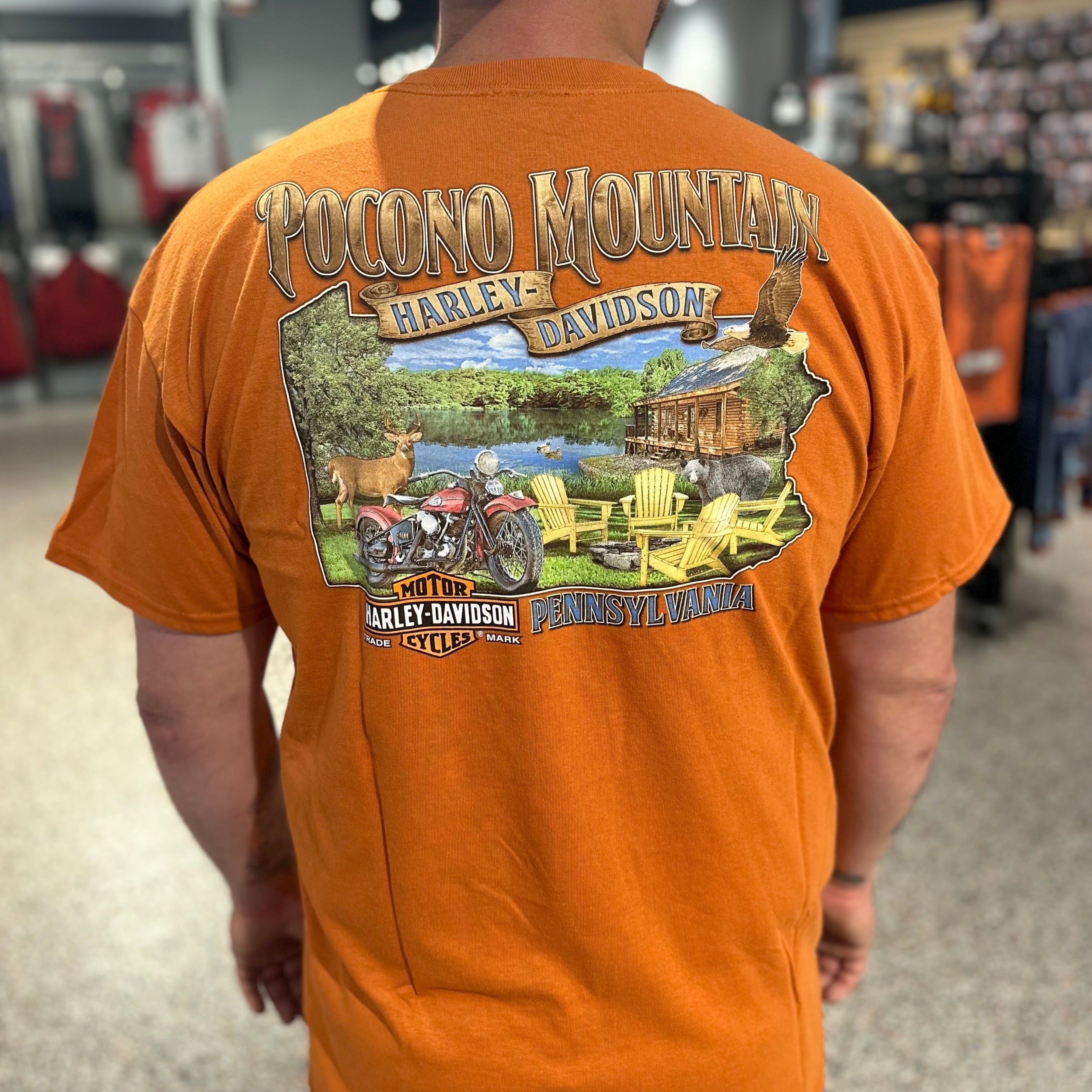 Orange harley davidson t 2024 shirt